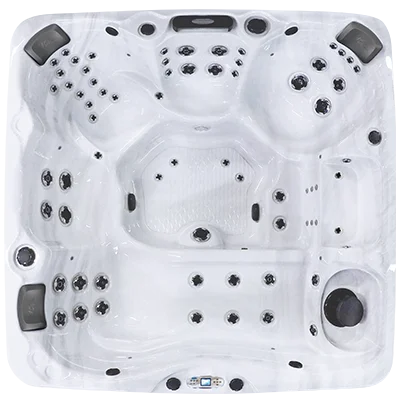 Avalon EC-867L hot tubs for sale in San Clemente